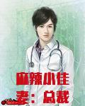 麻辣小佳妻：总裁请宽衣