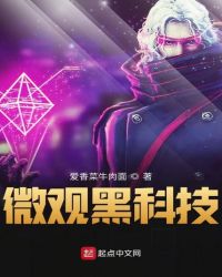 中山微观科技