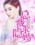 霸道总裁求隐婚