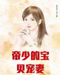 帝少的宝贝宠妻