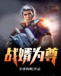 护国神帅