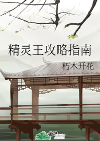 精灵王攻略指南