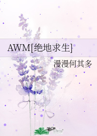 AWM[绝地求生]