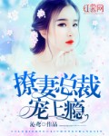撩妻总裁宠上瘾
