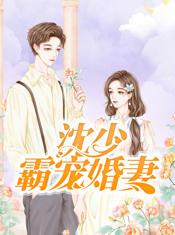 沈少霸宠婚妻沈湛