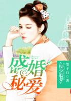 权少追妻，盛婚秘爱