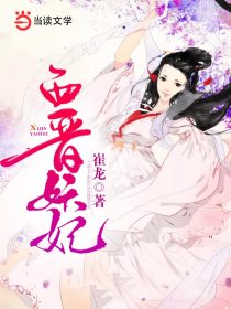 西晋妖妃