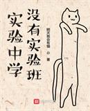 实验中学没有实验班