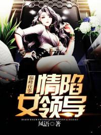 宦海沉浮：我的绝色女上司