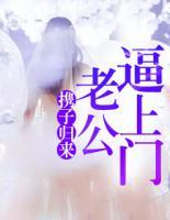 小说携子归来