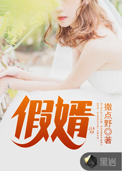 假婿