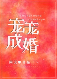 宠宠成婚