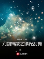 刀剑神域之银光乱舞