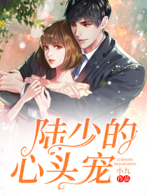 陆少的心头宠