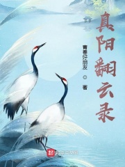 真阳翻云录