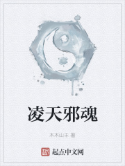 凌天邪魂