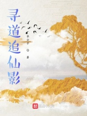 寻道追仙影