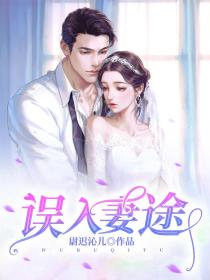 误入妻途