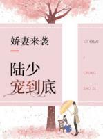 娇妻来袭：陆少宠到底