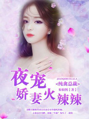 纯禽总裁：夜宠娇妻火辣辣