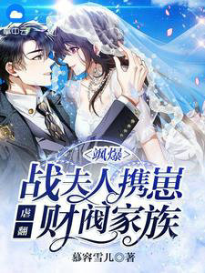 飒爆！战夫人携崽虐翻财阀家族风雪歌战曜霆