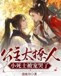 公主太撩人，小死士被宠哭了