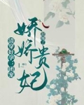 清穿好孕：团宠娇娇贵妃甜爆了