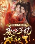 魔尊大人被渣后，废材王妃雄起了