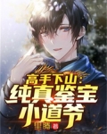 高手下山：纯真鉴宝小道爷