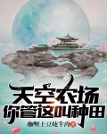 天空农场，你管这叫种田？
