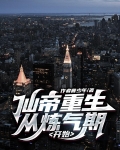 仙帝重生：从炼气期开始