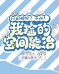 丹田被挖？不怕！我捡的空间能治