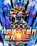 技能抽奖，我的第一个世界是龙珠