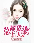 总裁宠妻上天