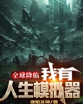 全球降临：我有人生模拟器
