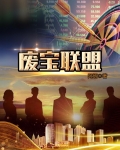 废宝联盟