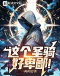 这个圣骑，好卑鄙！