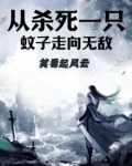 杀一只蚊子的罪过